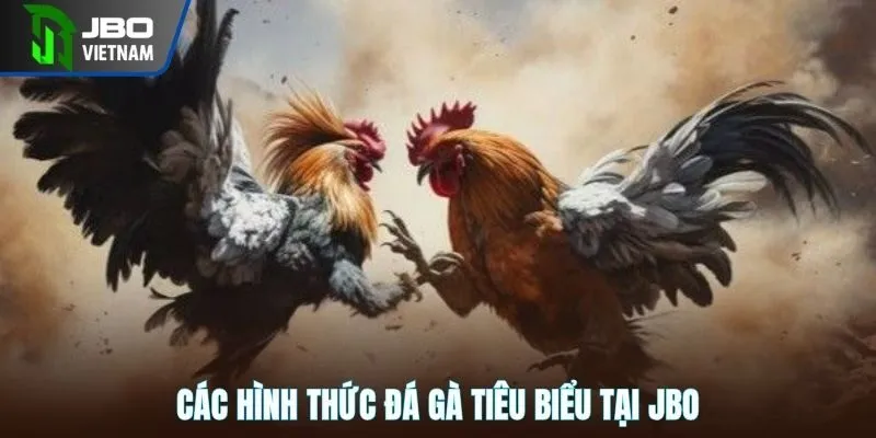Các hình thức đá gà tiêu biểu