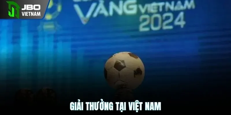 Giải thưởng tại Việt Nam