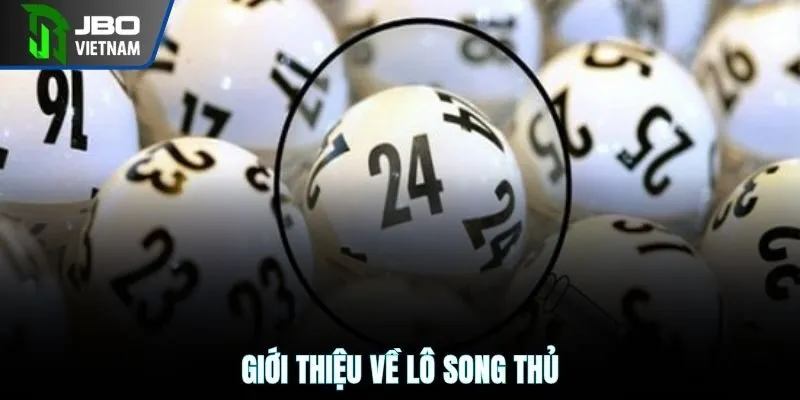 Giới thiệu về lô song thủ