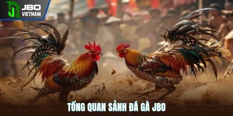 Tổng quan sảnh đá gà JBO